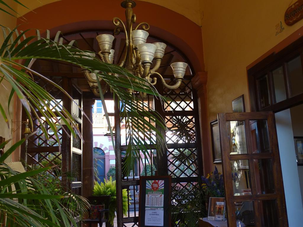 Santa Elena Hotel Boutique Mascota Εξωτερικό φωτογραφία